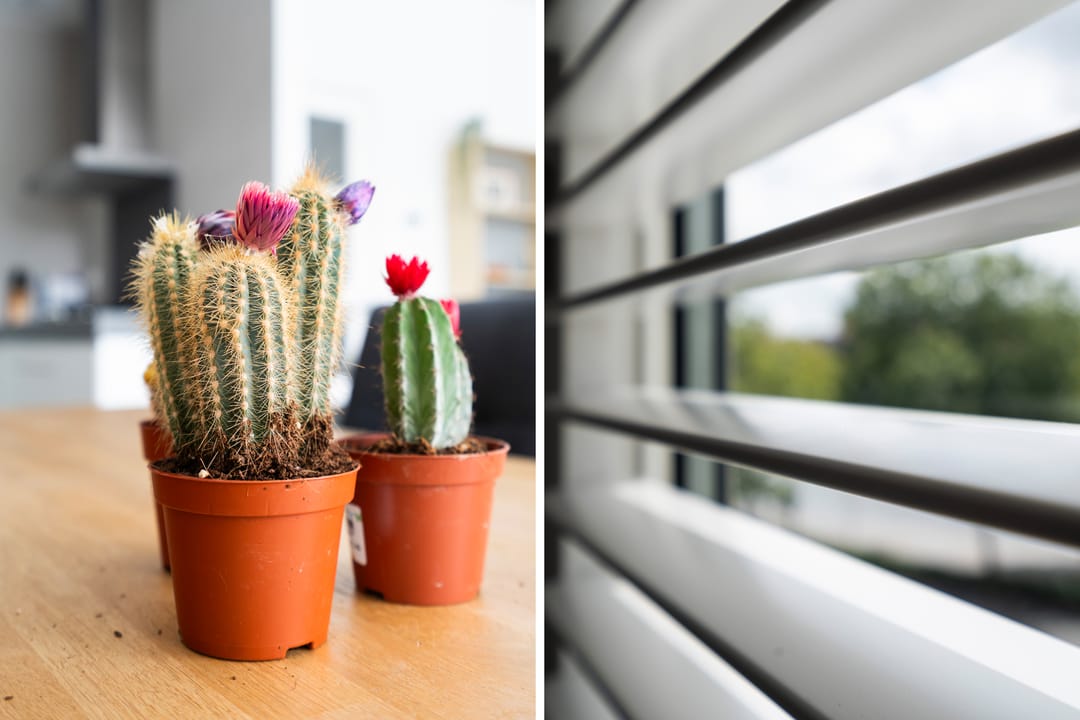 Foto 11 van Rochussenstraat 389-A02