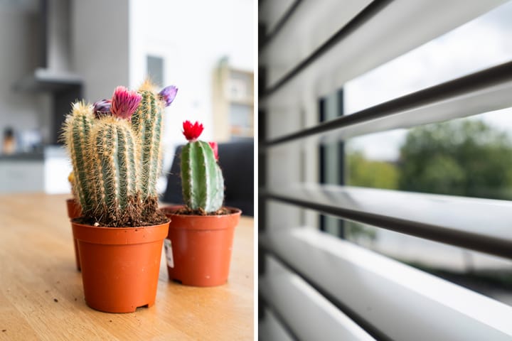 Foto 11 van Rochussenstraat 389-A02