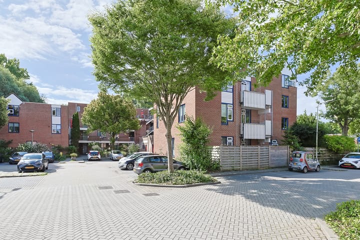 Photo 3 of Stuifzwam 122