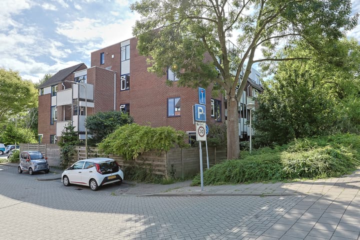 Photo 4 of Stuifzwam 122