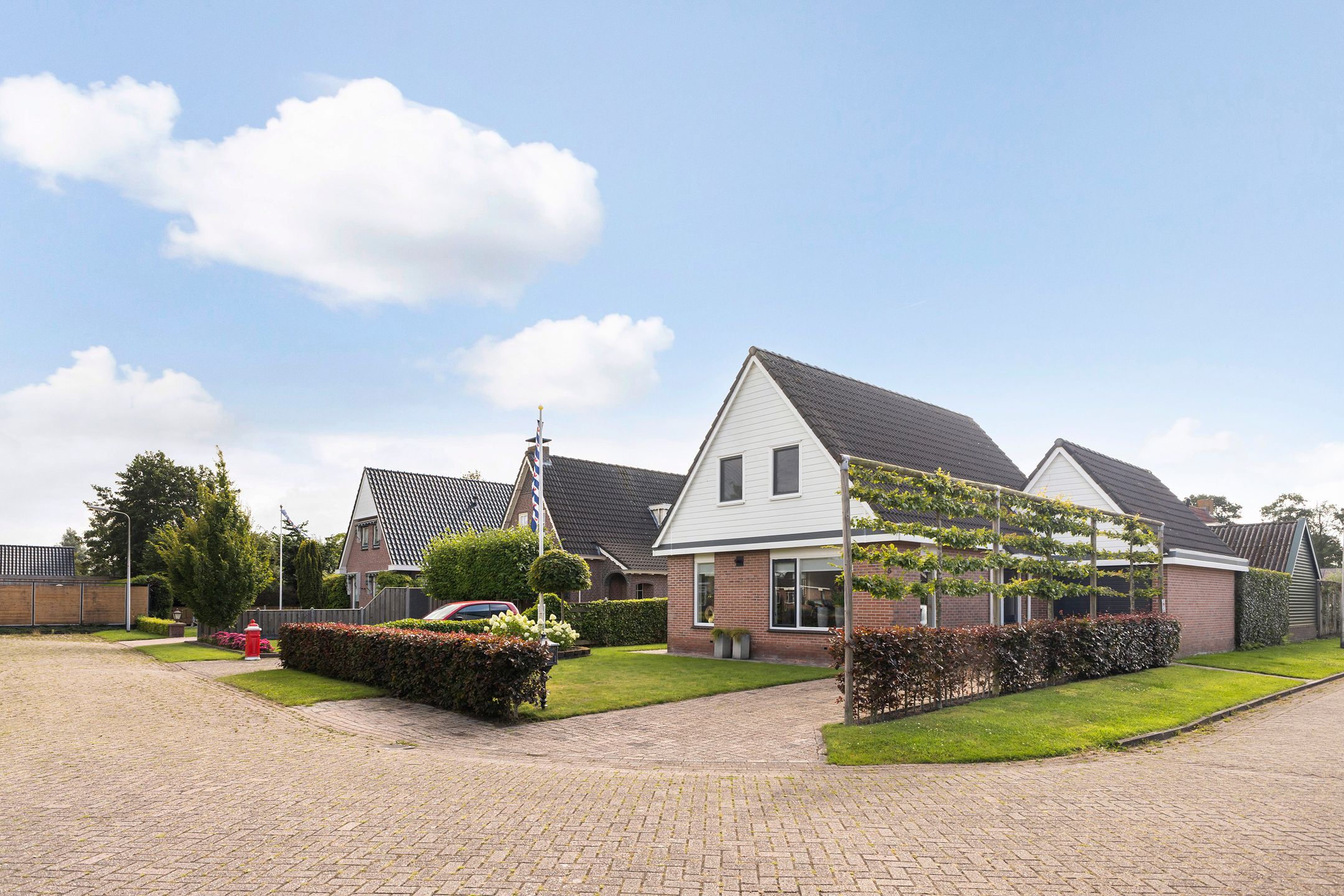 Foto 21 van Hagebeam 5