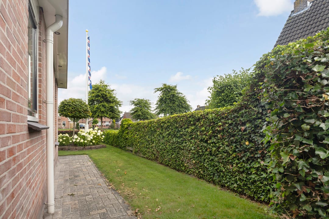 Foto 22 van Hagebeam 5