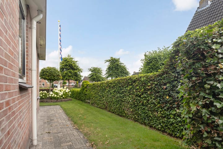 Foto 22 van Hagebeam 5