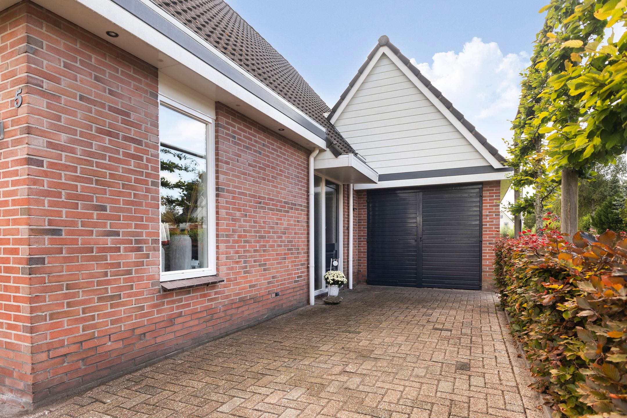 Foto 27 van Hagebeam 5