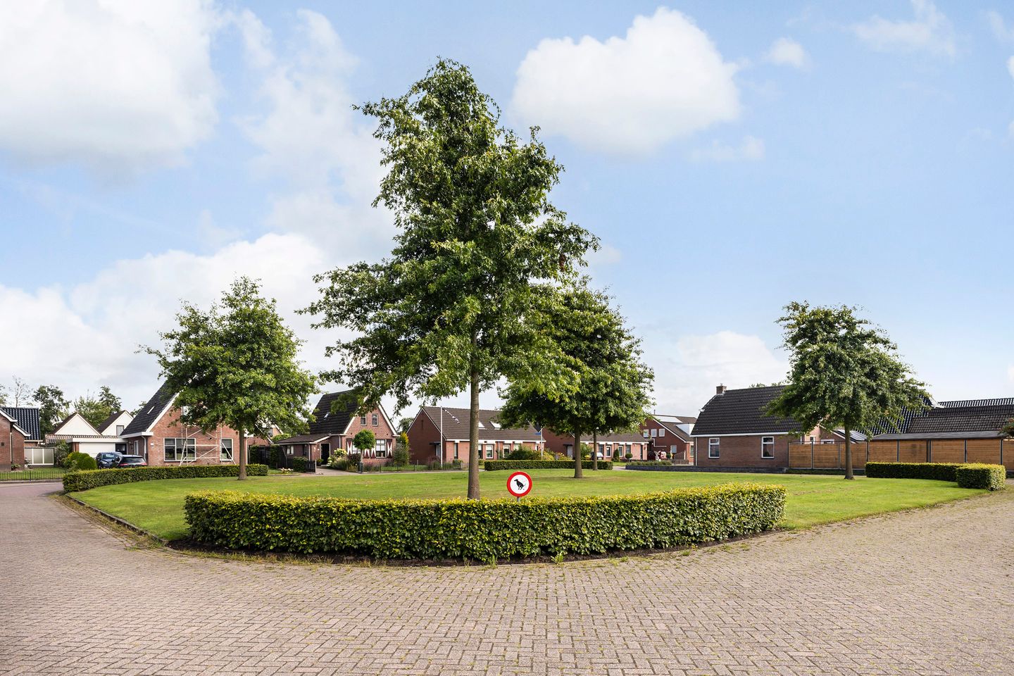 Foto 29 van Hagebeam 5