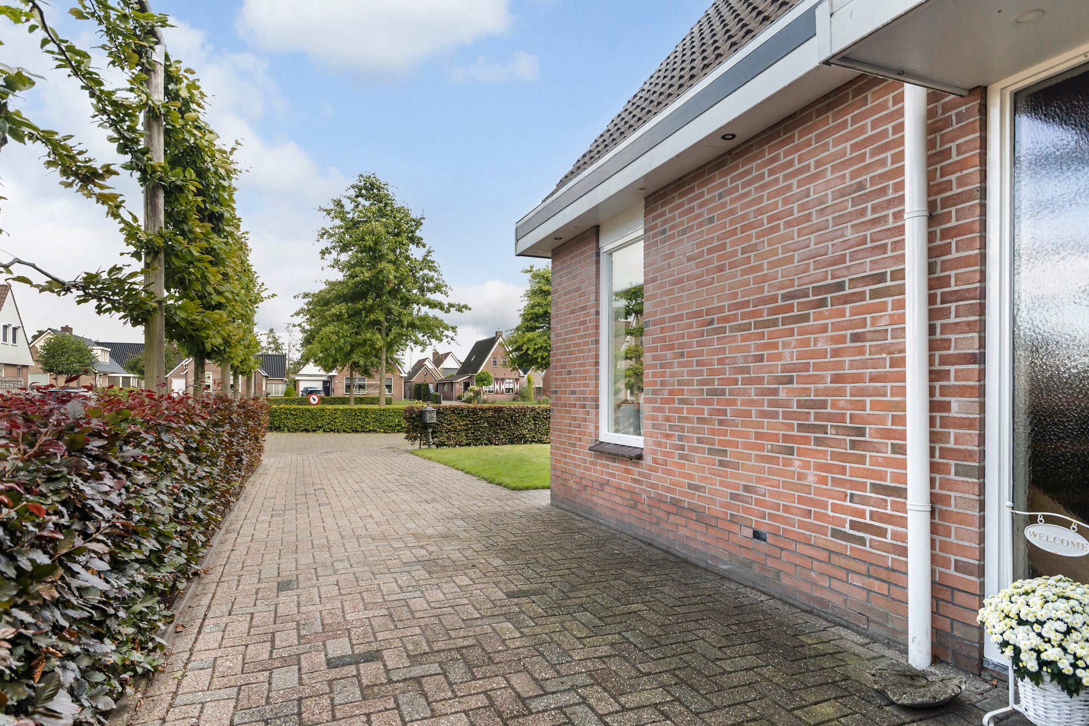 Foto 30 van Hagebeam 5