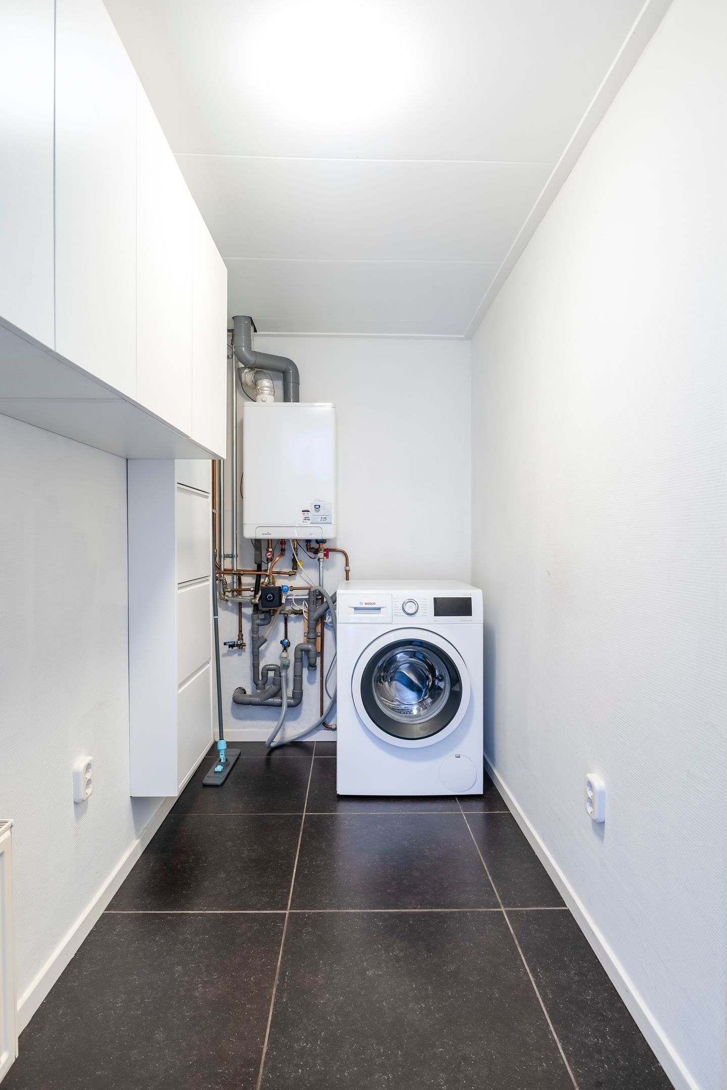 Foto 55 van Hagebeam 5