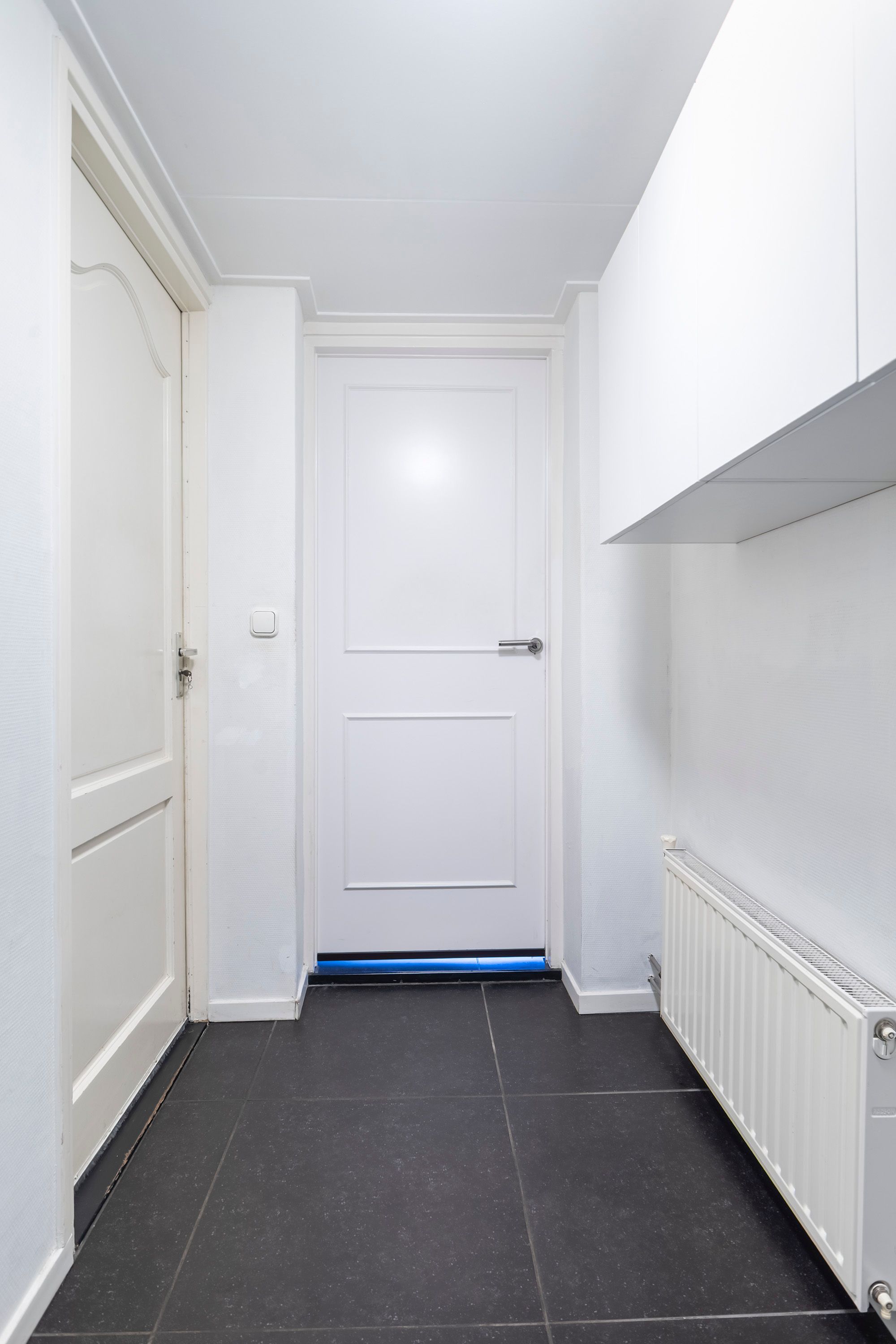 Foto 57 van Hagebeam 5