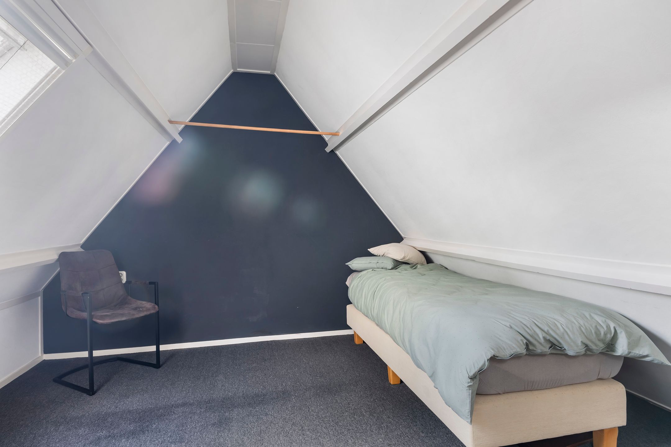 Foto 78 van Hagebeam 5