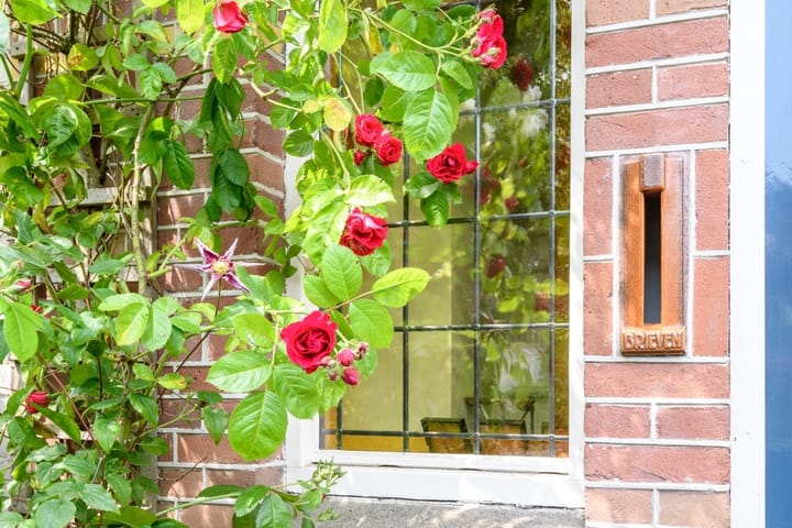 Photo 3 of Bergansiusstraat 24