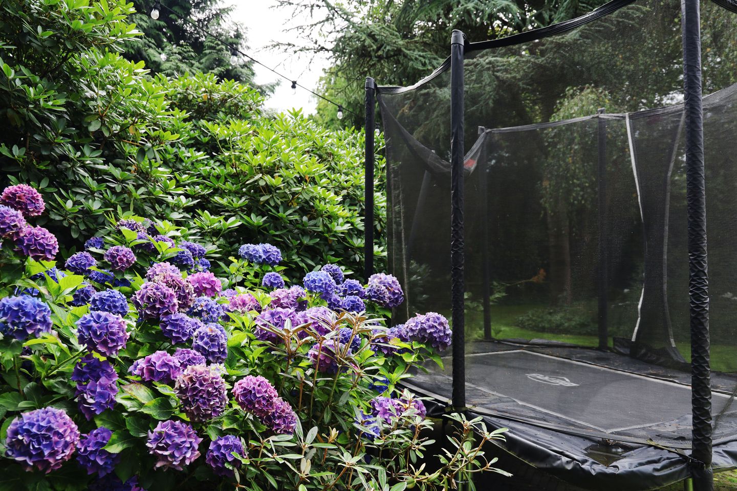 Foto 34 van Heerderweg 50