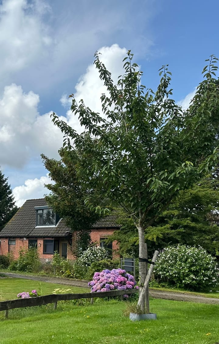 Foto 38 van Zwaagweg 30