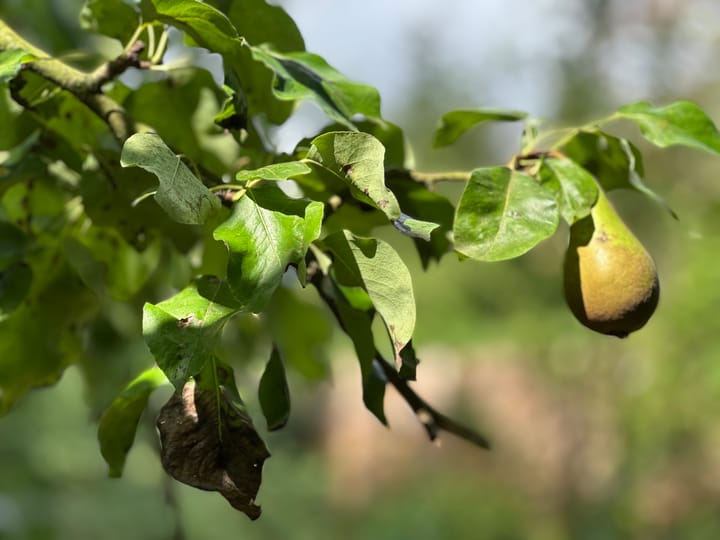 Foto 44 van Zwaagweg 30