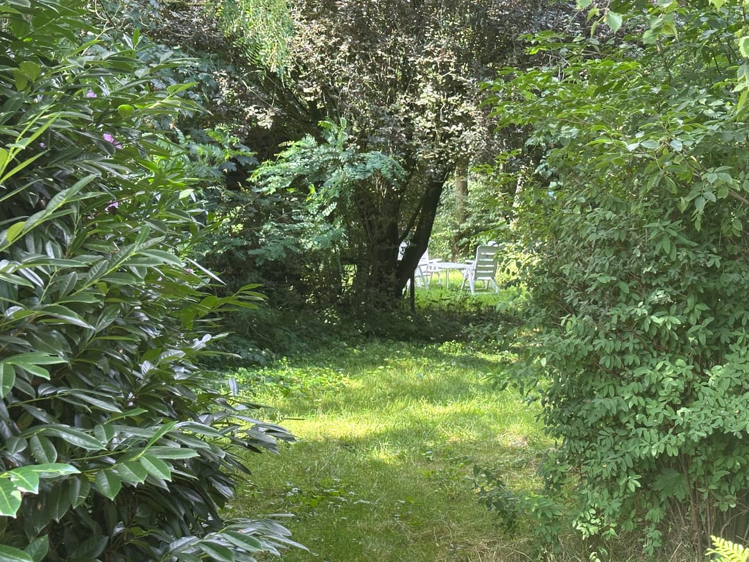 Foto 46 van Zwaagweg 30