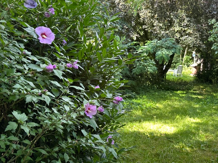 Foto 47 van Zwaagweg 30