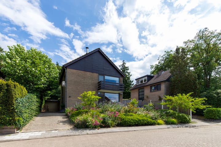 Foto 1 van Begoniastraat 37