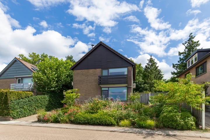 Foto 45 van Begoniastraat 37