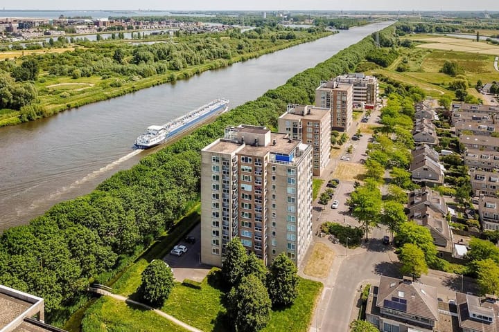 Foto 3 van Hermelijnvlinder 99