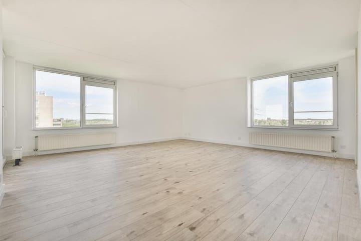 Foto 5 van Hermelijnvlinder 99