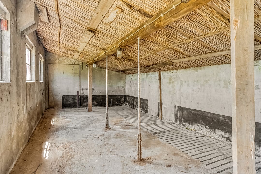 Foto 47 van Rijndijk 41