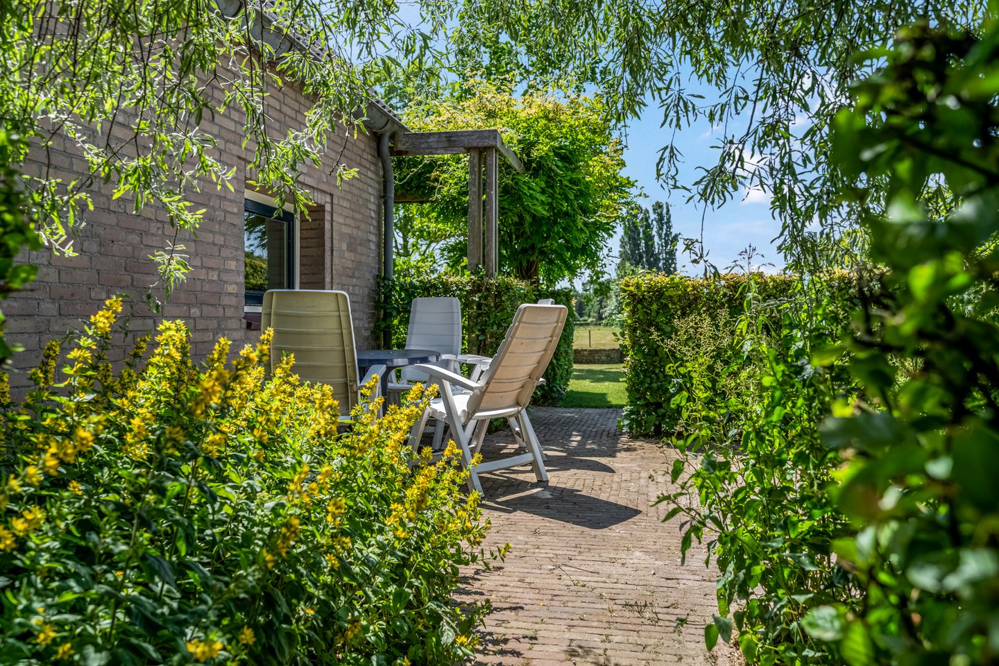 Foto 49 van Rijndijk 41