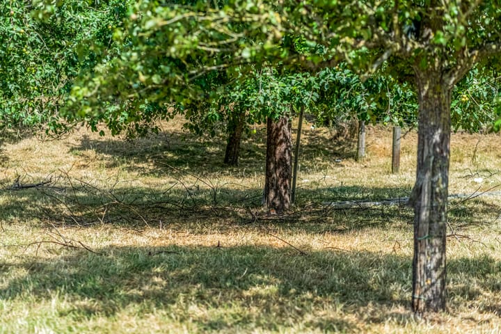 Foto 52 van Rijndijk 41