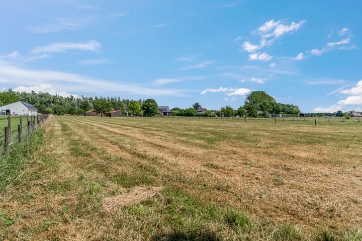 Foto 56 van Rijndijk 41