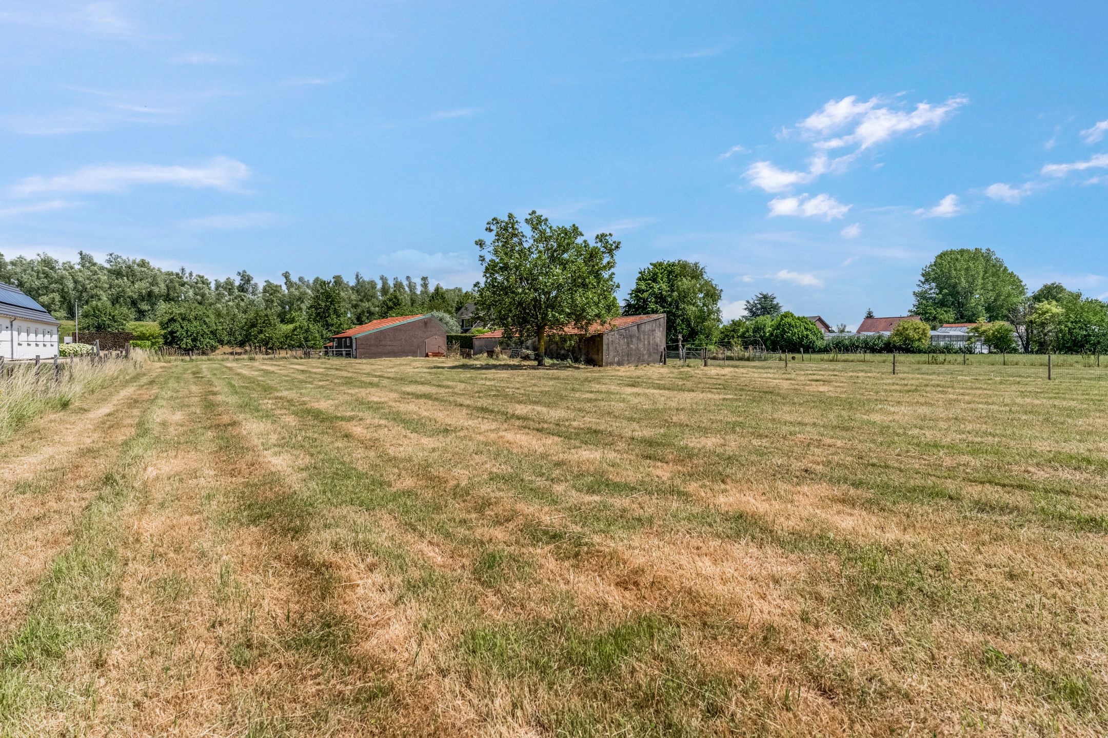 Foto 57 van Rijndijk 41