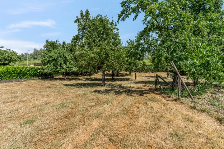 Foto 66 van Rijndijk 41