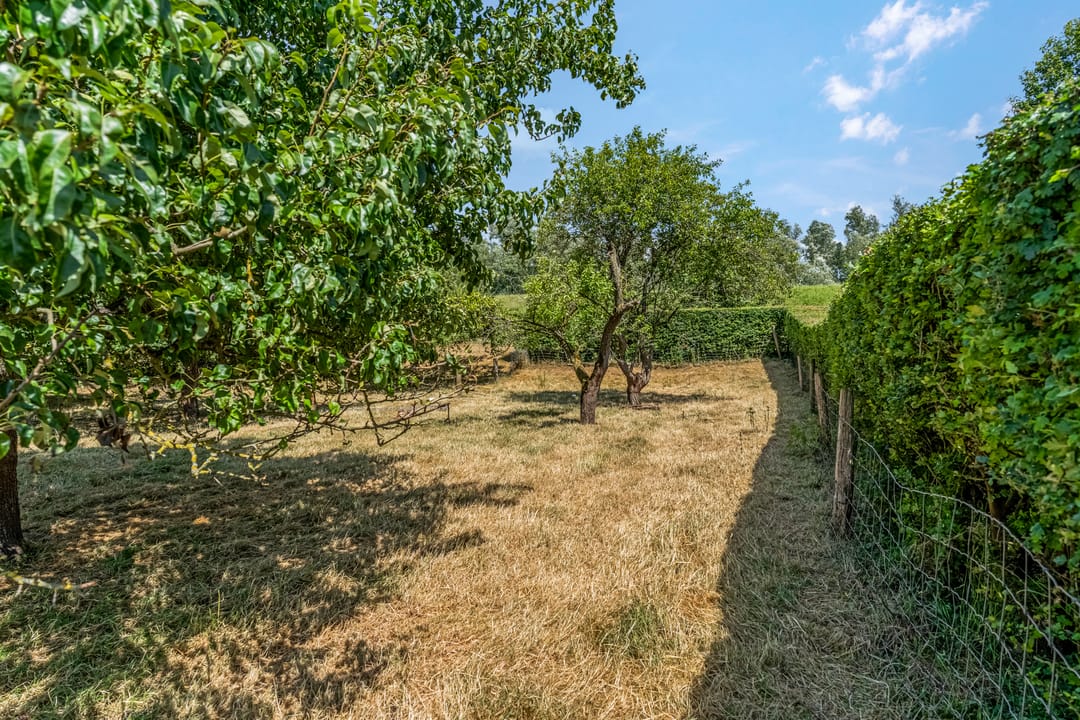 Foto 67 van Rijndijk 41