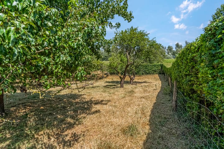 Foto 67 van Rijndijk 41