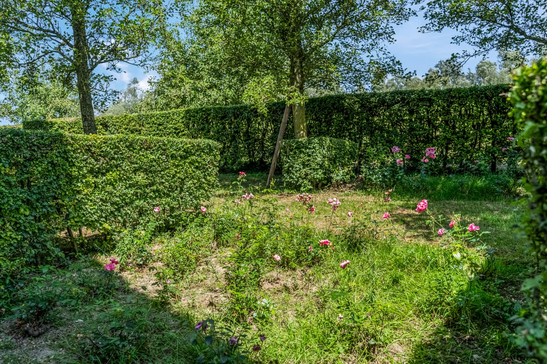 Foto 68 van Rijndijk 41