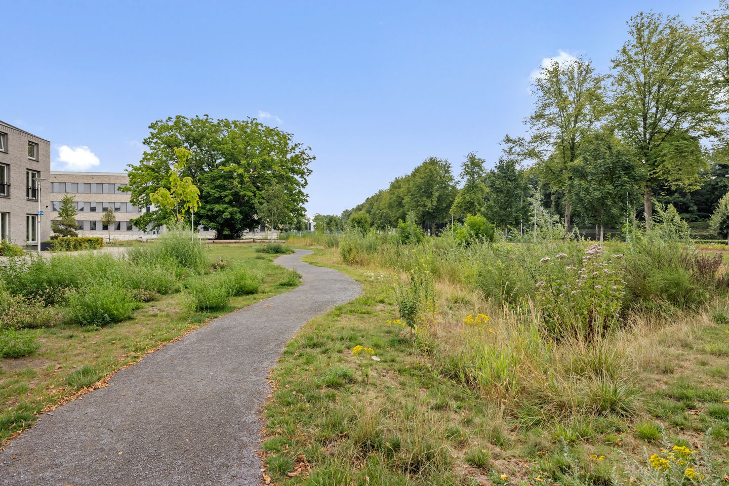 Foto 59 van Rachel Ruyschstraat 23