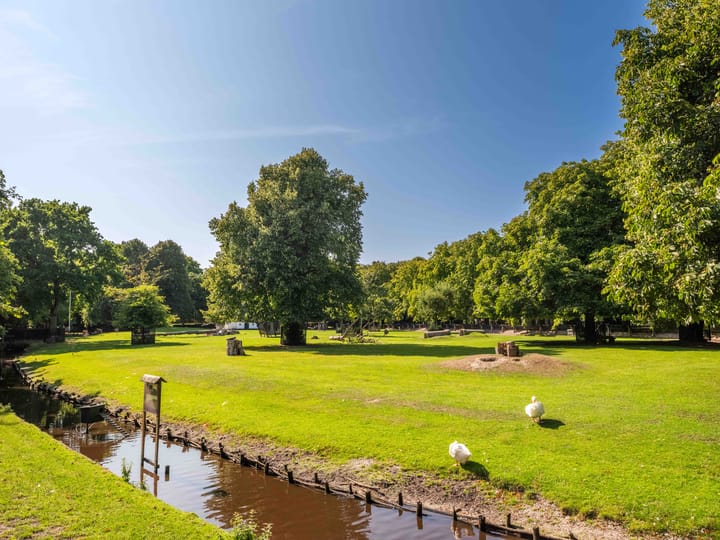 Foto 37 van Kastanjelaan 4