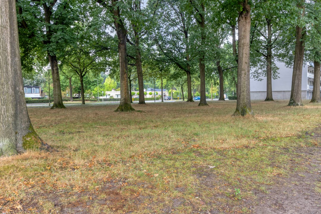 Foto 43 van Wijnruitweg 98