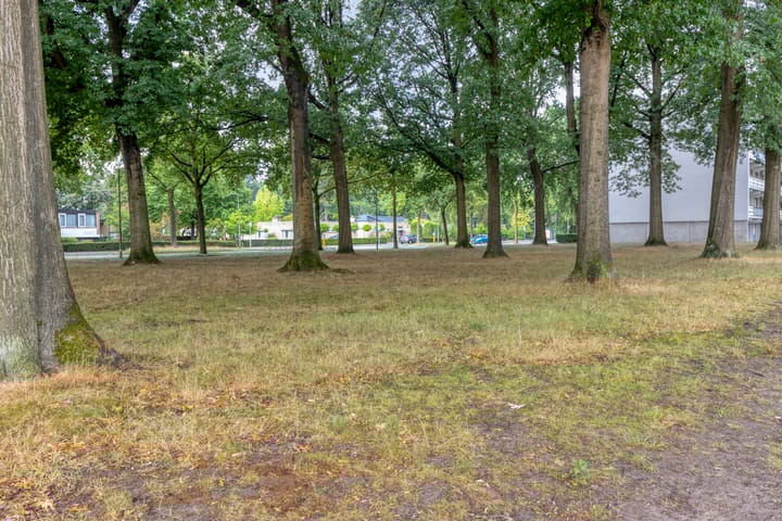 Photo 43 of Wijnruitweg 98