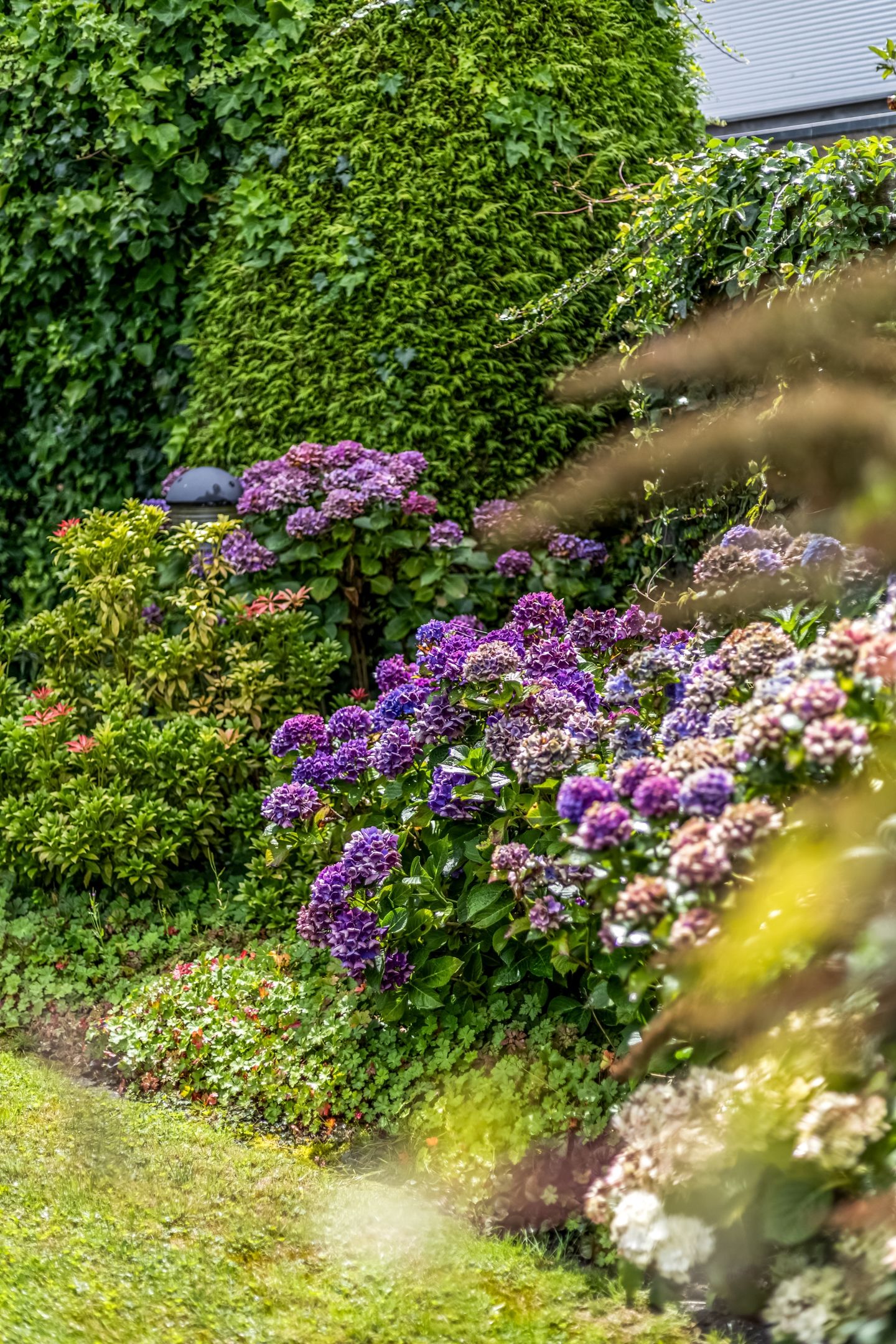 Foto 44 van Molenbeek 22