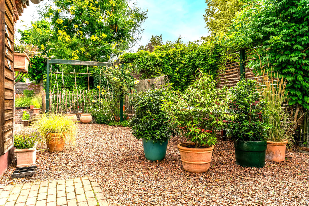 Foto 43 van Sint Petrusstraat 10