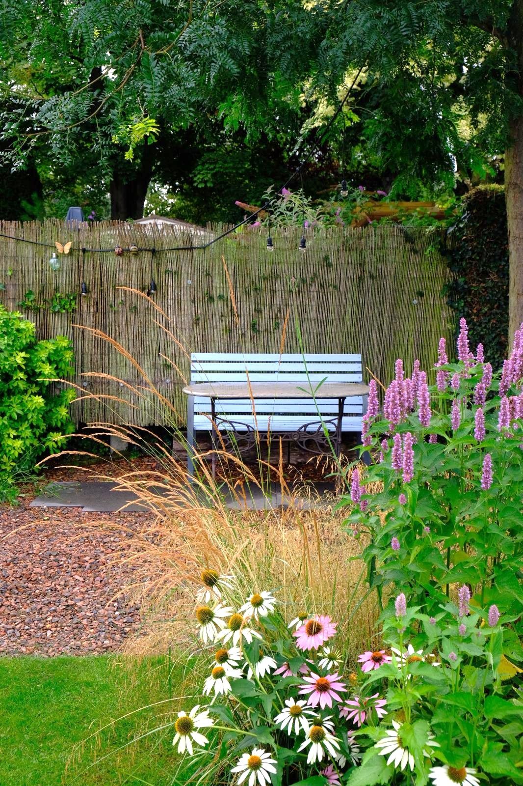 Foto 47 van Sint Petrusstraat 10