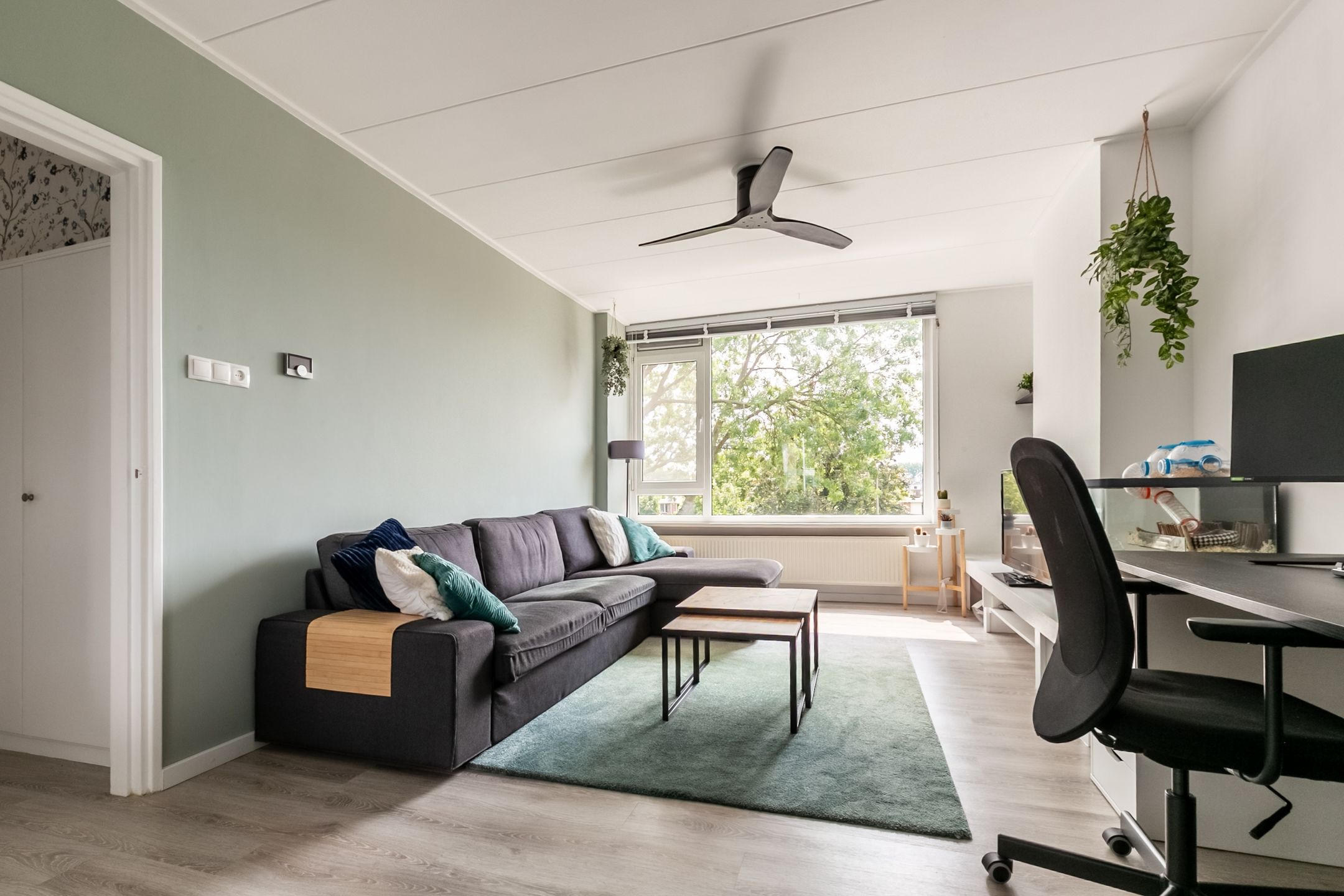 Foto 6 van Burgemeester de Zeeuwstraat 262