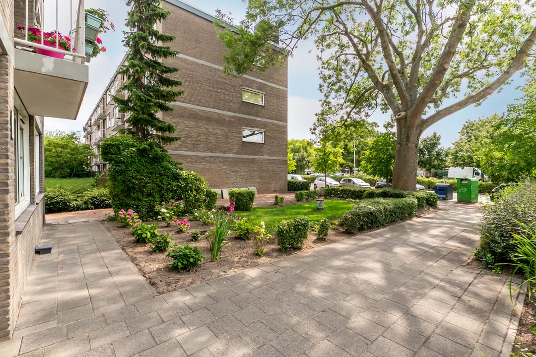 Foto 26 van Burgemeester de Zeeuwstraat 262