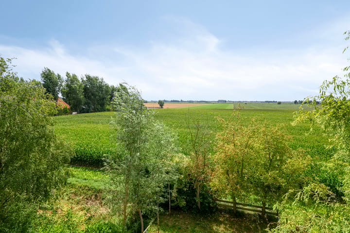 Foto 28 van Sluisjesdijk 48