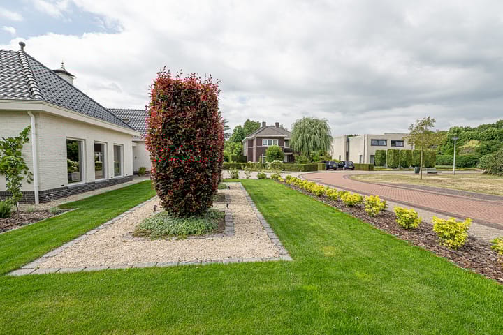 Photo 51 of Gravenstate 8