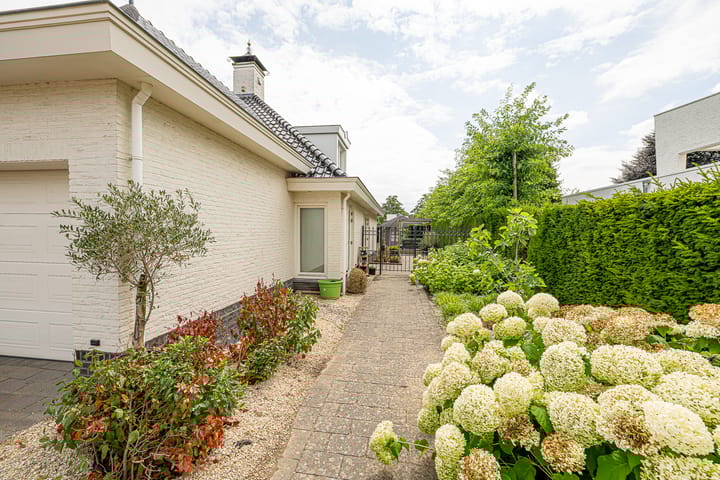 Photo 54 of Gravenstate 8