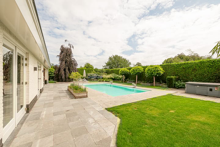 Photo 43 of Gravenstate 8