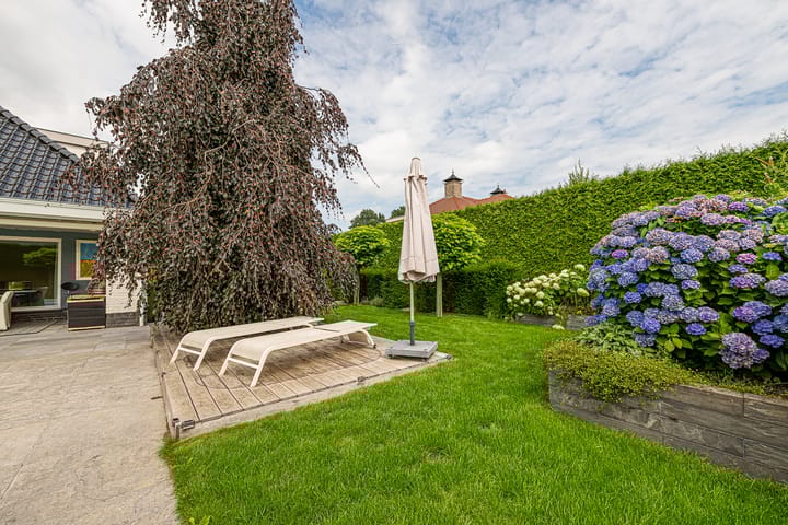 Photo 48 of Gravenstate 8