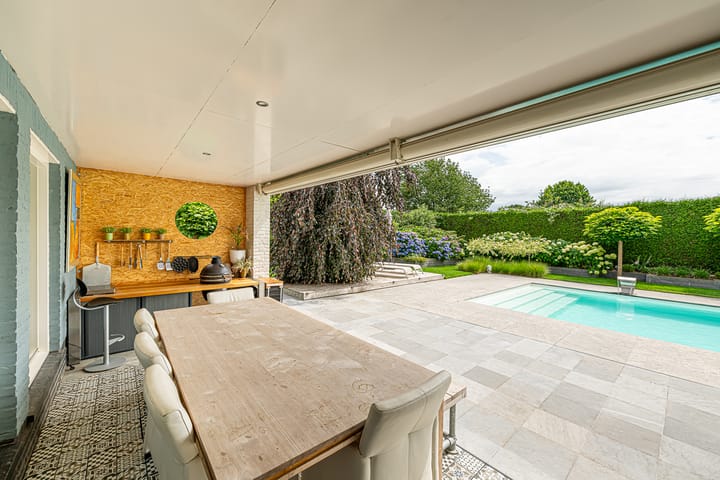 Photo 46 of Gravenstate 8