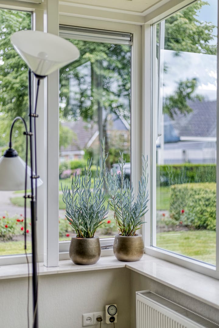 Foto 5 van Ds. Pelstraat 35