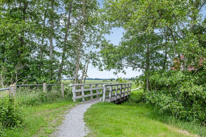 Foto 44 van Ds. Pelstraat 35