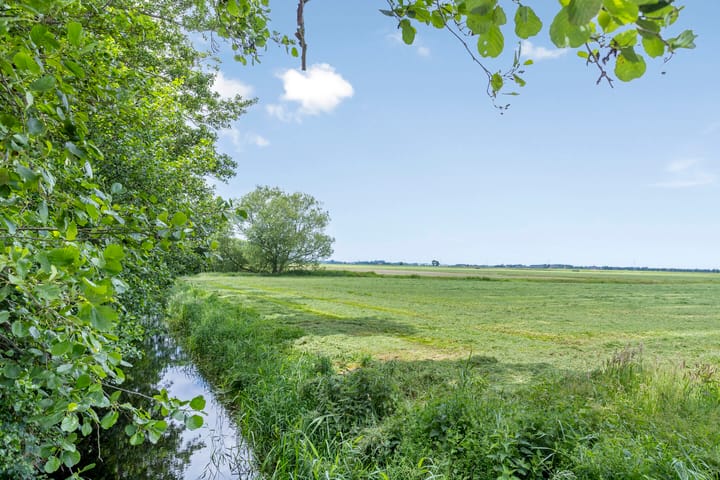 Foto 46 van Ds. Pelstraat 35